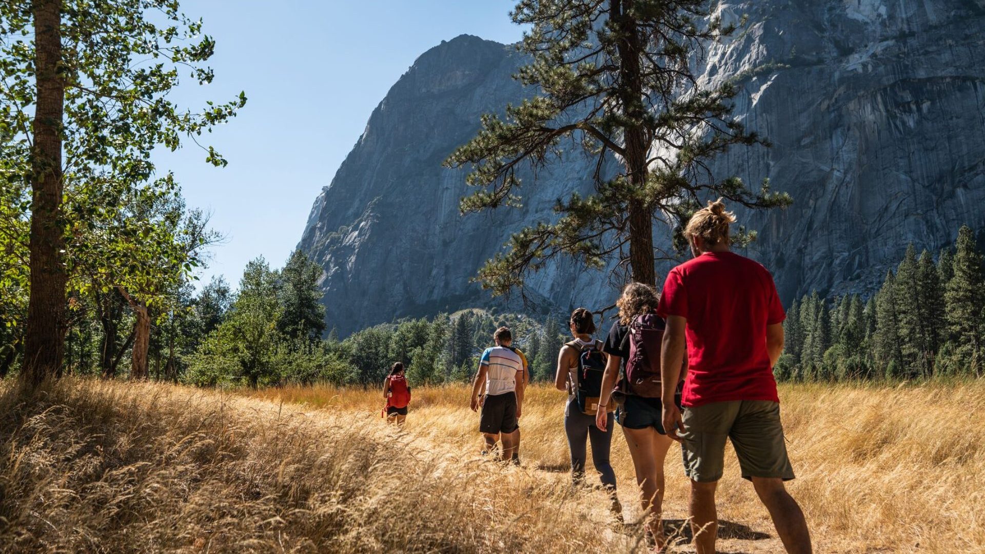 Hands off public lands: Why we’ve established a US National Parks bureau 