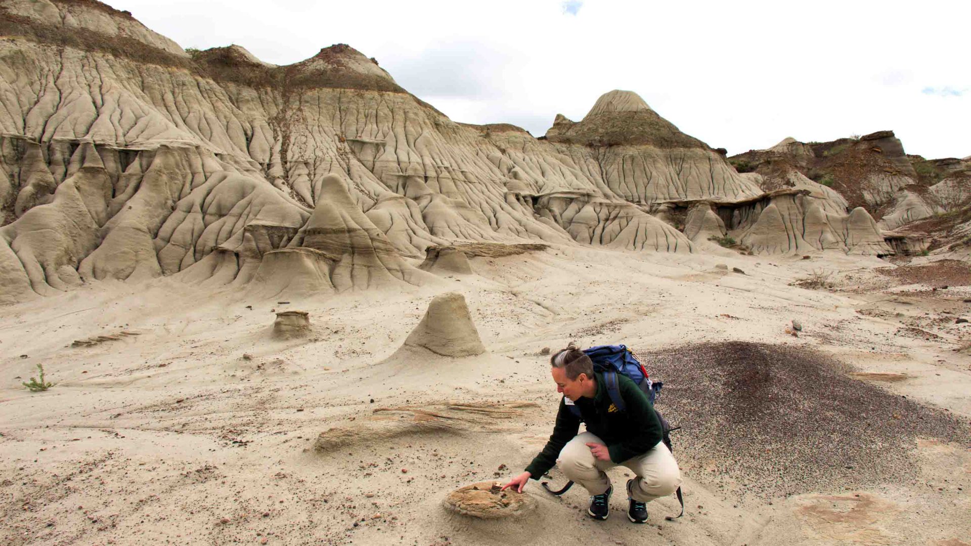 A woman bends over to point out a fossil in the ground.