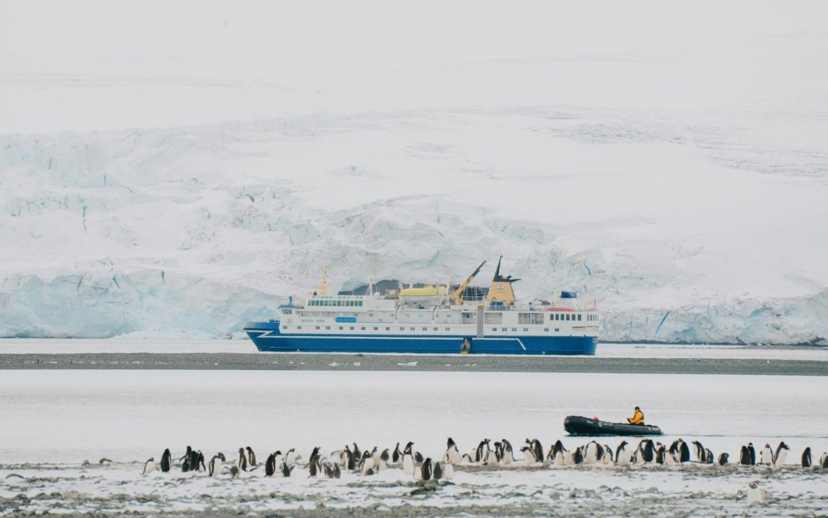 A landscape of a large cruise ship in the Antarctic with a penguin colony in the foreground.