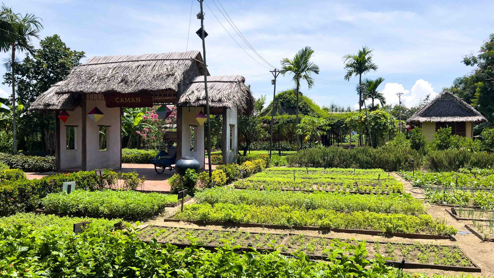 Vegetable patches lead to a resort.