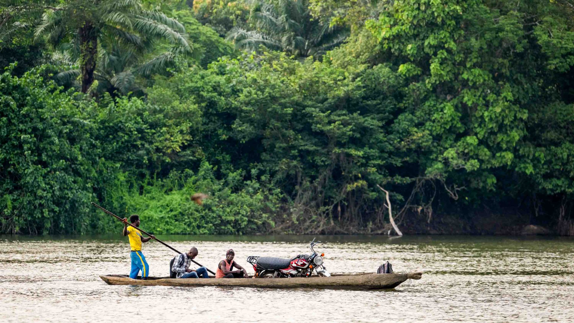 Men in a canoe go past forest.