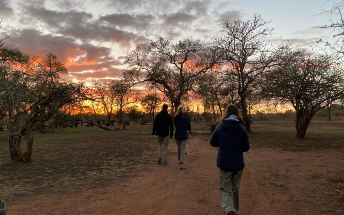 Hikers walk along a path as the sun rises behinds the trees