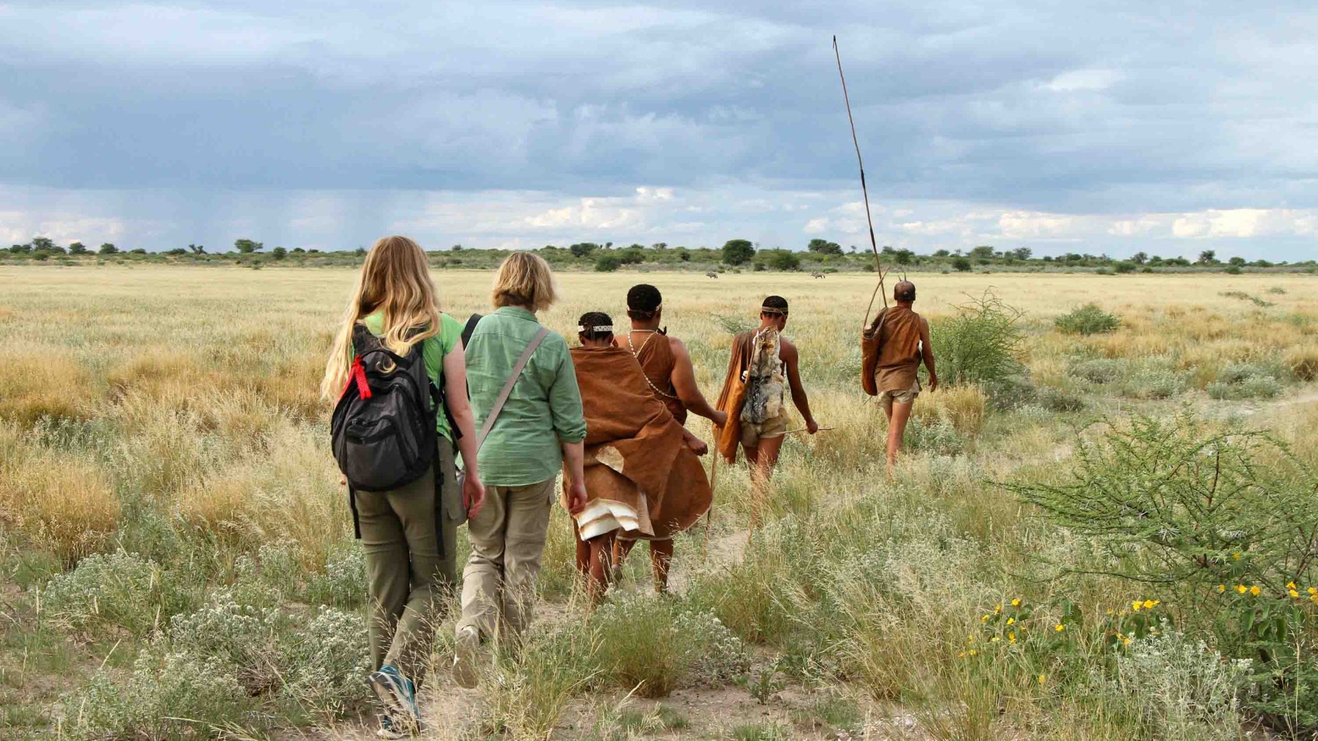 Five countries. One safari… Are cross-border trips the future of wildlife tourism in Africa?