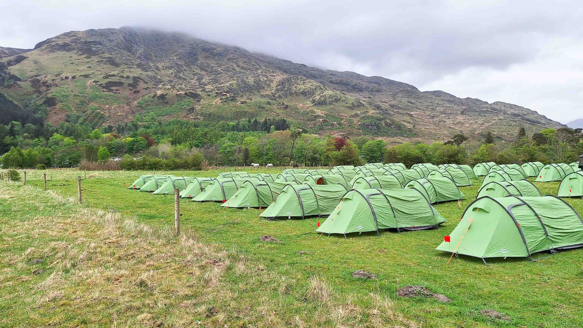 Rows of green tents.