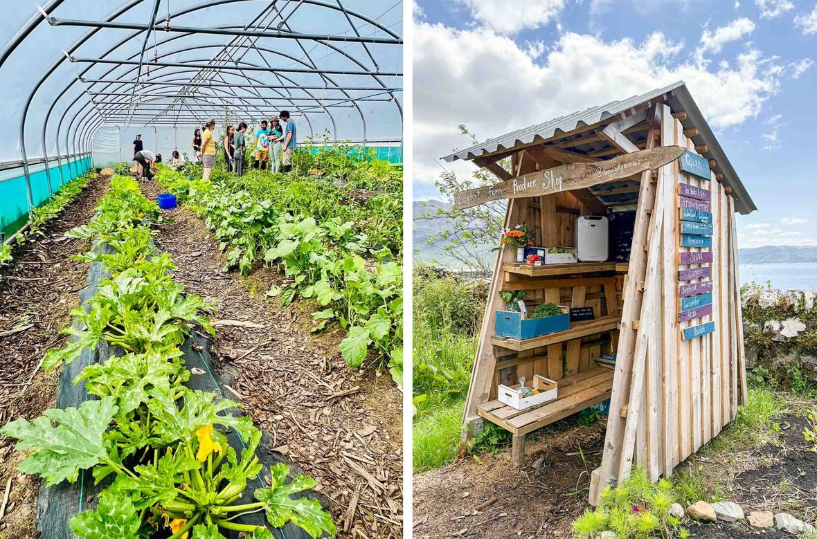 Left: Polytunnels of organic vegetables; Right: A makeshift shack is the Knoydart Produce Farm Shop with sea views in the backdrop.