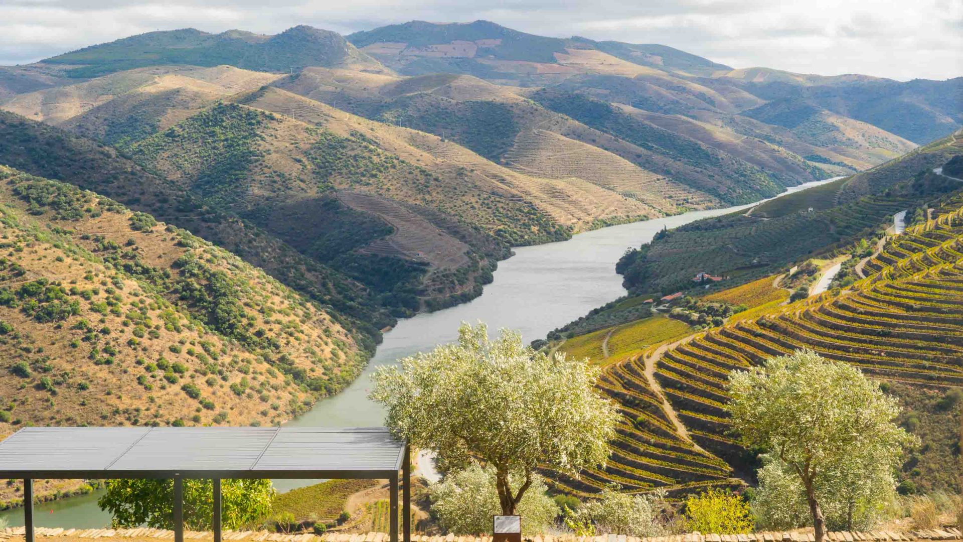 Far from the crowds: A guide to Portugal’s lesser-known Côa Valley