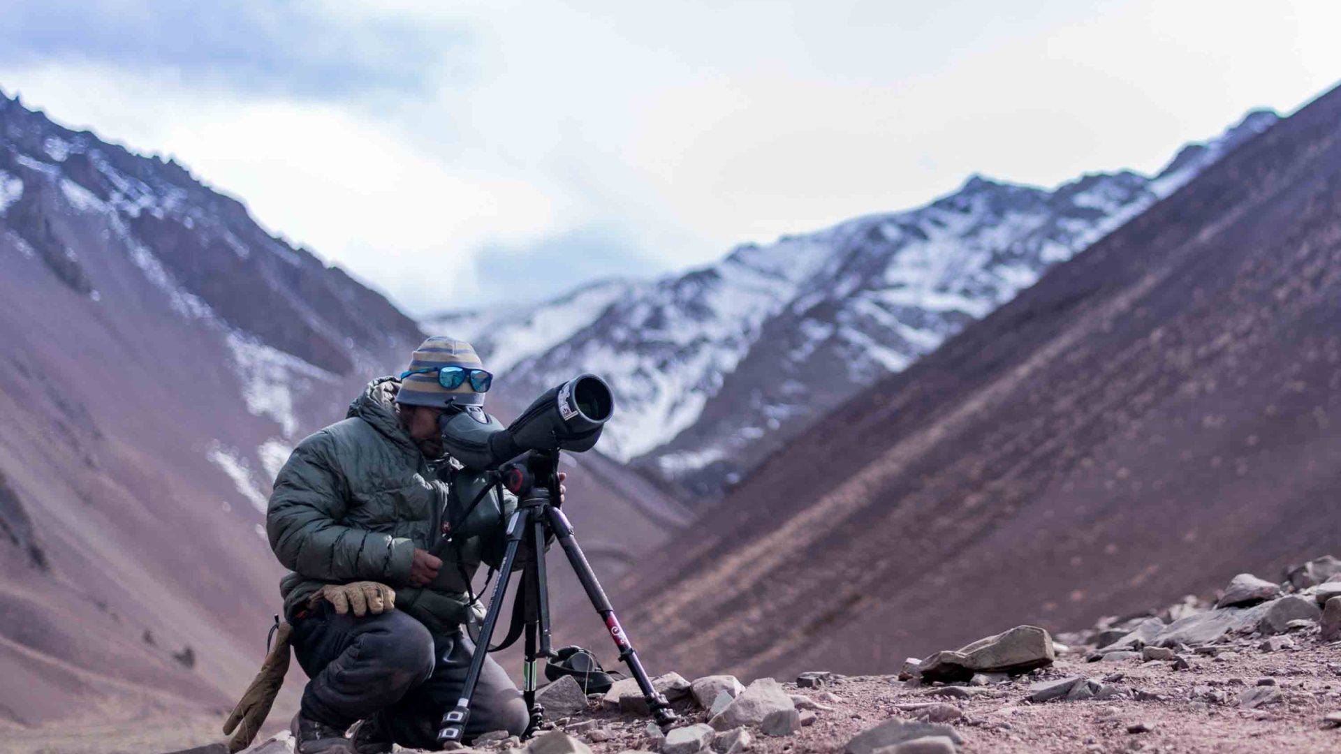 A snow leopard tracker uses a scope to look for leopards in the mountains.