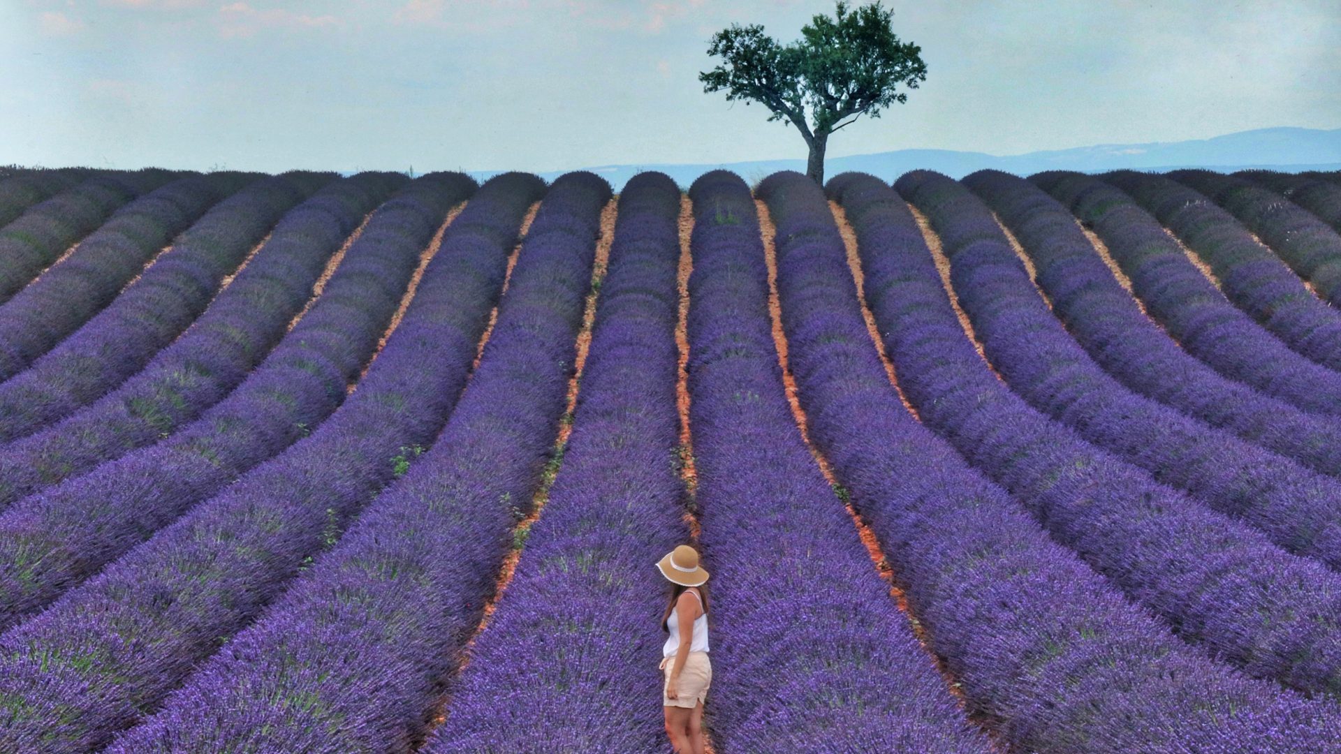 How the travel industry uses your sense of smell to enhance your holiday