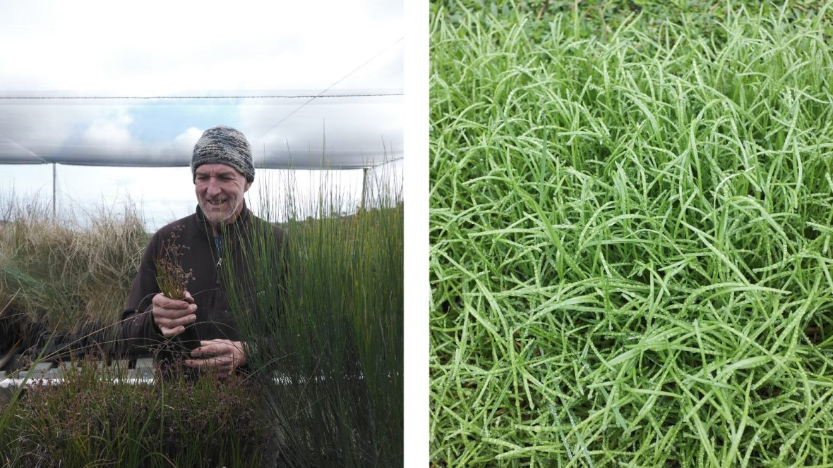 Fuji X-Half camera review.