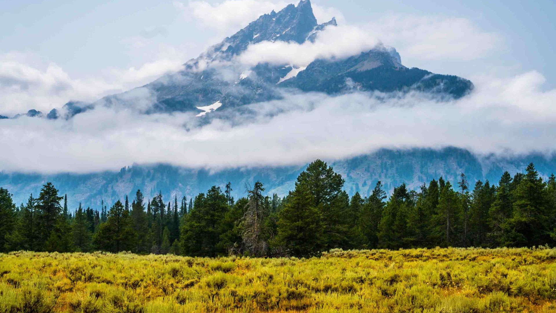 Yellow fields lead to green forests and snow capped mountains.