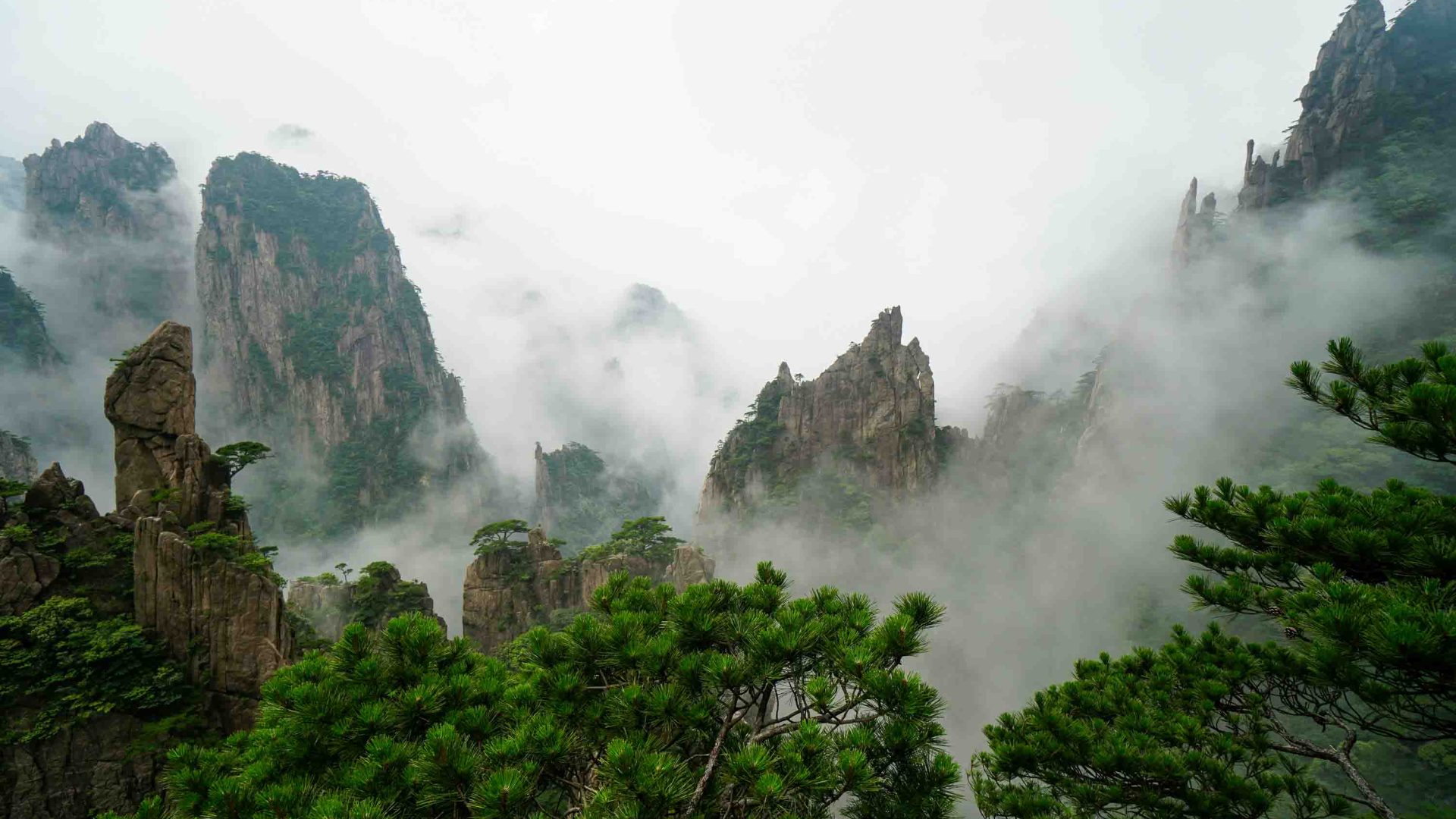 Trees and rocky outcrops shrouded in fog.